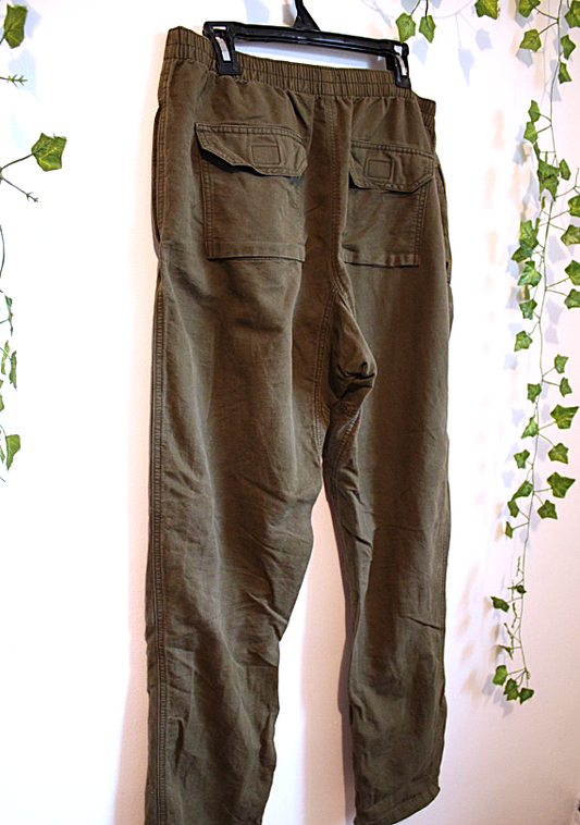 Club Monaco Baggy Green Pants