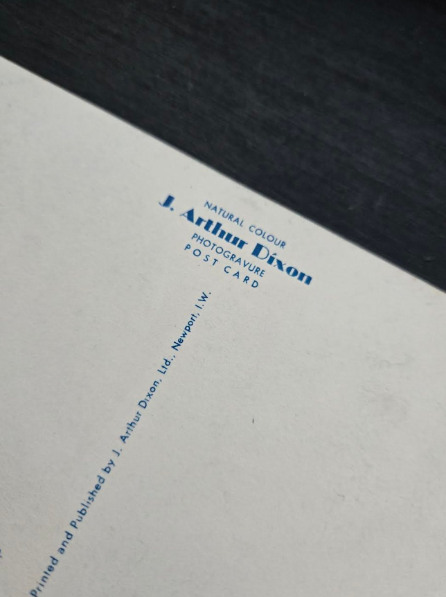 Aster Postcard